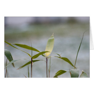 winter is coming