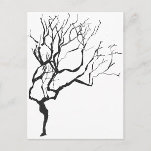 Winter is Coming Drawing Minimalism  Wintery Tree Postcard
