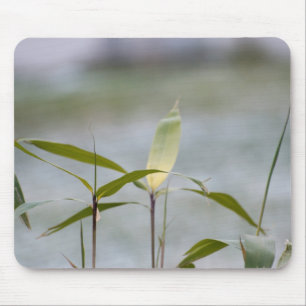 winter is coming mouse mat