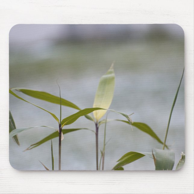 winter is coming mouse mat (Front)