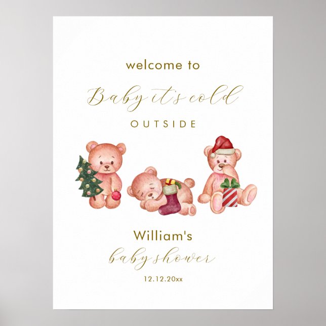 Winter It's Cold Outside Bear Baby Shower Welcome  Poster (Front)