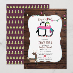 Winter Its TWINS Birth Announcement Invitations
