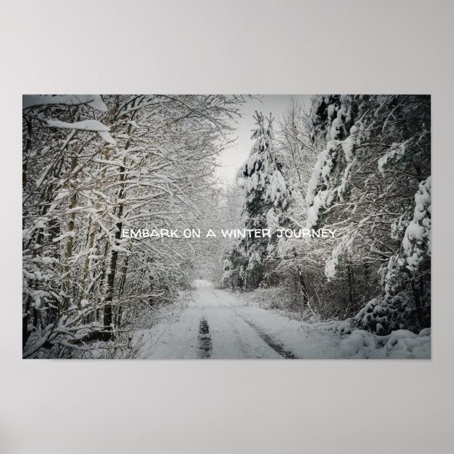 Winter journey through the woodland poster (Front)