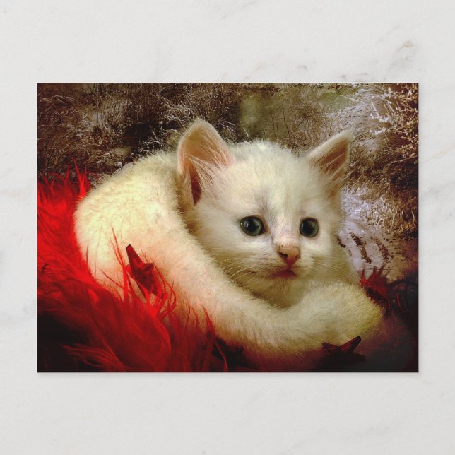 Winter Kitty Postcard (Front)