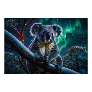 Winter Koala and Southern Lights Poster