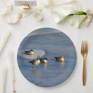Winter Lake Geese and Goose Ice Napping Paper Plate