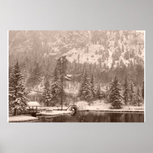 Winter lake poster