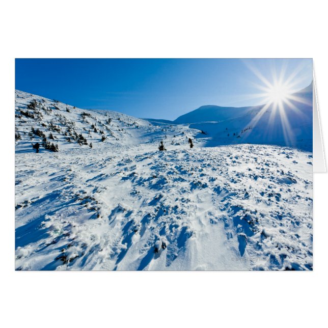 Winter land (Front Horizontal)