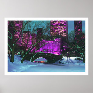 Winter Landscape Central Park New-York Poster