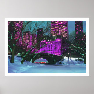 Winter Landscape Central Park New-York Poster