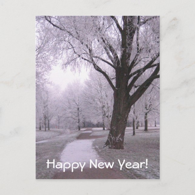 Winter landscape holiday postcard (Front)