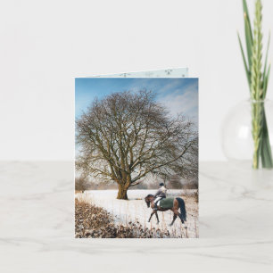 Winter Landscape Horse Ride Christmas Card
