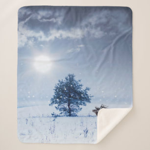 Winter landscape in blue colour. Lonely tree and w Sherpa Blanket