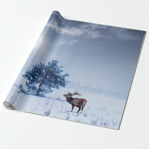 Winter landscape in blue colour. Lonely tree and w Wrapping Paper