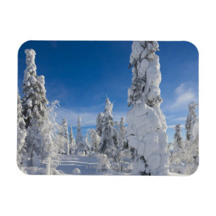 Winter landscape in Lappland Magnet