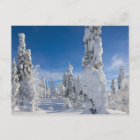 Winter landscape in Lappland