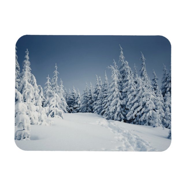 Winter Landscape Magnet (Horizontal)