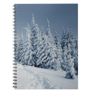 Winter Landscape Notebook