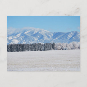 Winter Landscape of Trees, Snow and Mountains Postcard