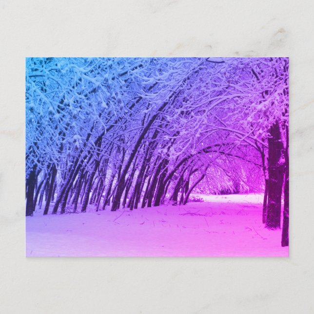 Winter Landscape Photo postcard (Front)