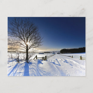 Winter Landscape Postcard