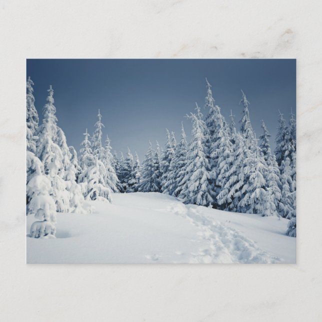 Winter Landscape Postcard (Front)