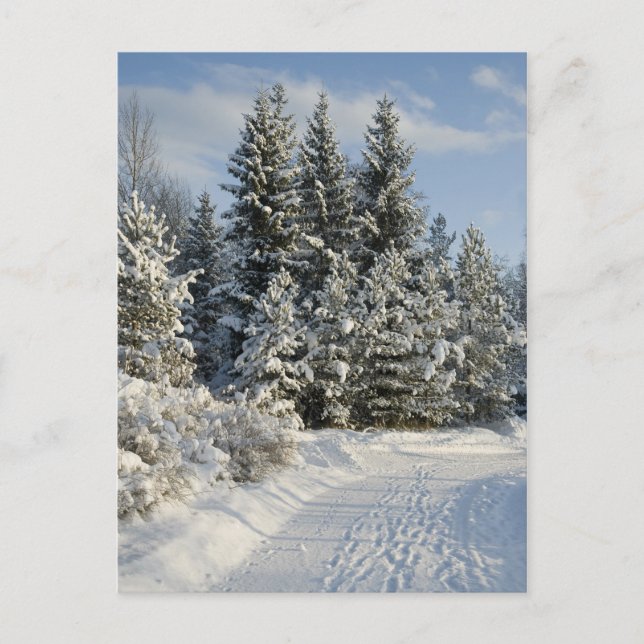 Winter landscape postcard (Front)