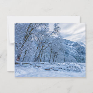 Winter Landscape Scenery in Yosemite Valley Postcard