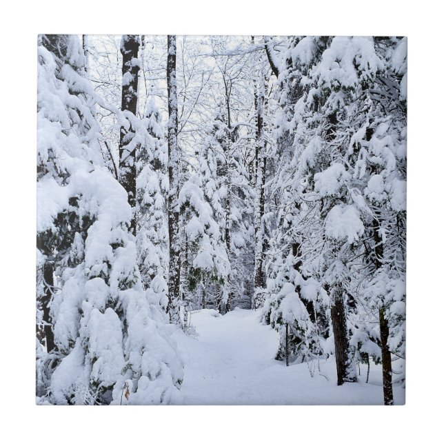 Winter Landscape Snow in Forest Tile (Front)