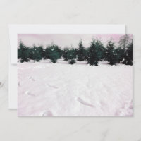 Winter landscape with larches in the snow 