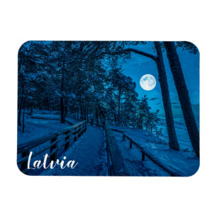 Winter landscape with snow covered pine forest magnet