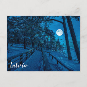 Winter landscape with snow covered pine forest postcard