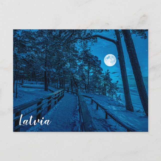 Winter landscape with snow covered pine forest postcard (Front)