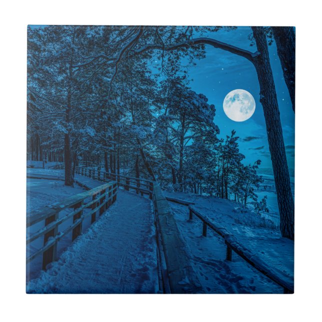 Winter landscape with snow covered pine forest tile (Front)