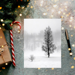 Winter landscape with tree in fog postcard