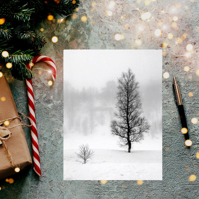 Winter landscape with tree in fog postcard (Creator Uploaded)