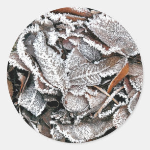WINTER LEAVES CLASSIC ROUND STICKER
