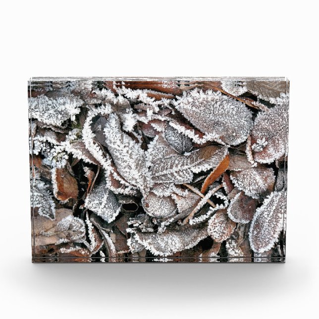 WINTER LEAVES PHOTO BLOCK (Front)