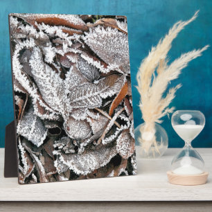 WINTER LEAVES PLAQUE