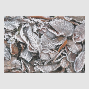 WINTER LEAVES TISSUE PAPER
