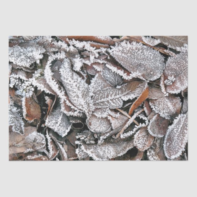 WINTER LEAVES TISSUE PAPER (Front)