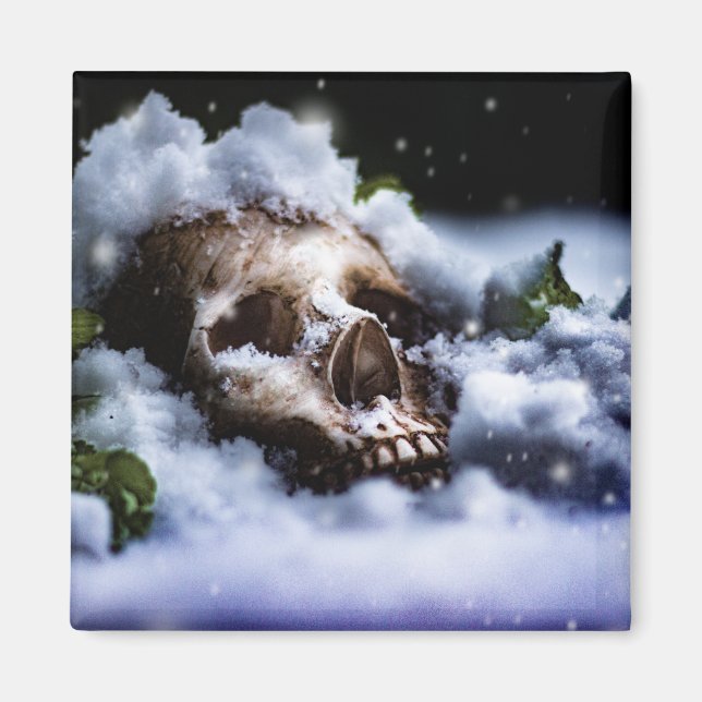 Winter Life IV Magnet (Front)
