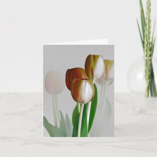 Winter Light Card