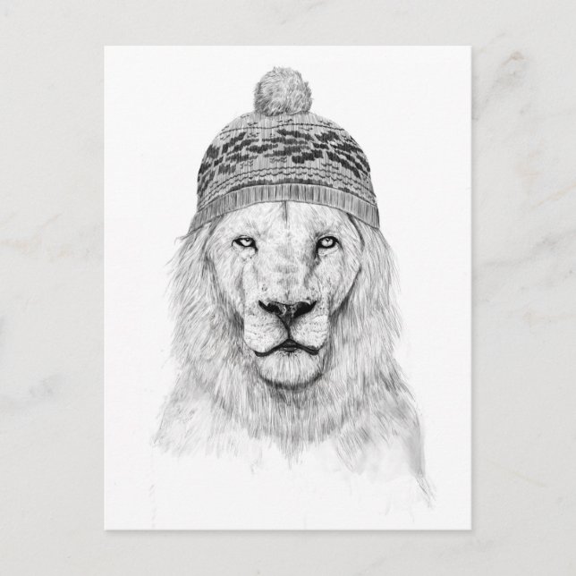 Winter lion (bw) postcard (Front)