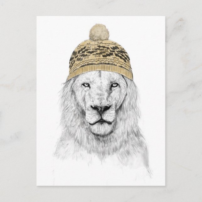 Winter lion postcard (Front)