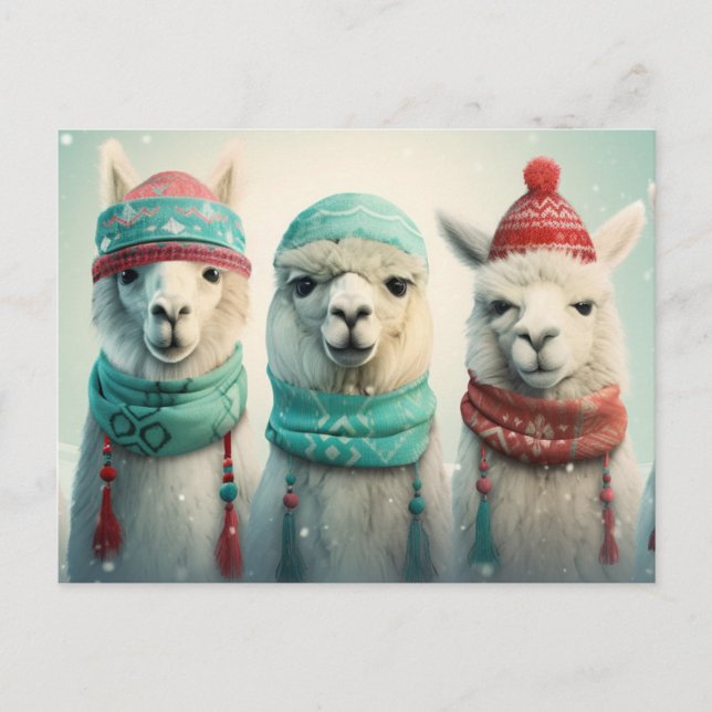 Winter Llamas Holiday Postcard (Front)