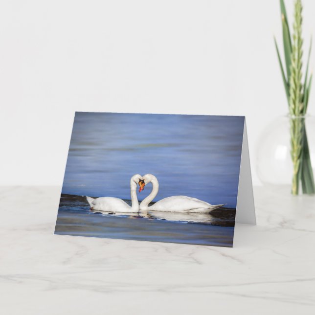 Winter Love Swan Couple Greeting Card (Front)