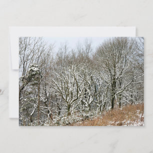 Winter Macclesfield Forest Card
