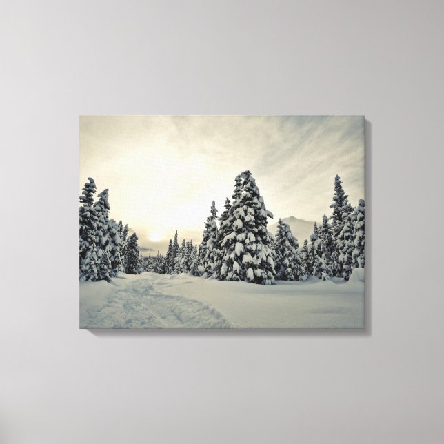 Winter Magic Canvas Print (Front)