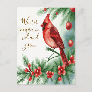 Winter Magic in Red and Green Cardinal Postcard